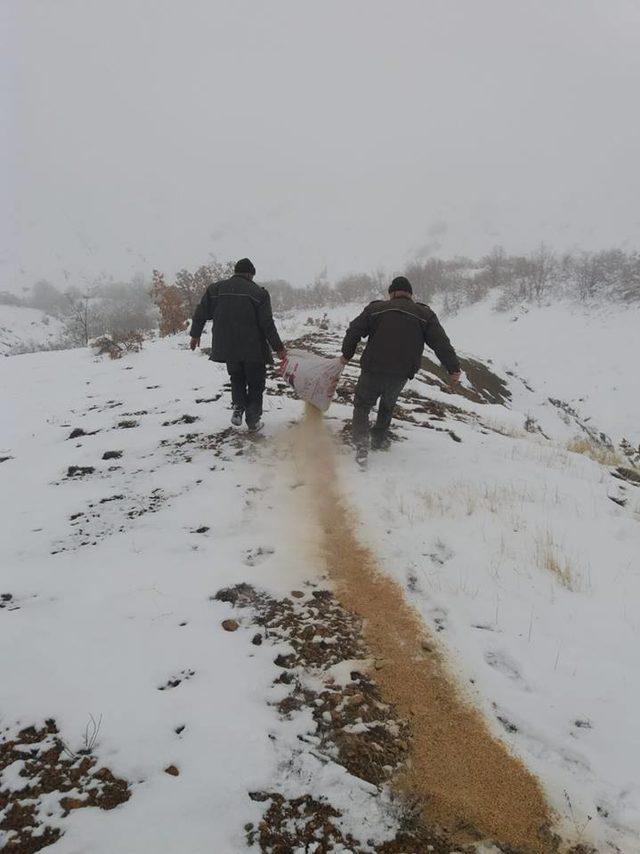 Elazığ'da hayvanlar için doğaya 2 ton yem bırakıldı