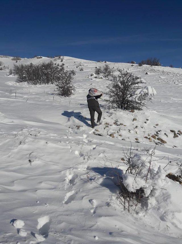 Elazığ'da hayvanlar için doğaya 2 ton yem bırakıldı