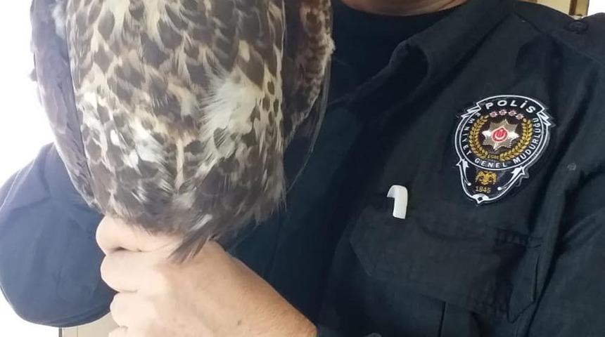 Polisin bulduğu hasta şahin tedavi altında