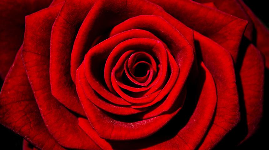 Eşiniz size oral seks yapmayı neden seviyor?