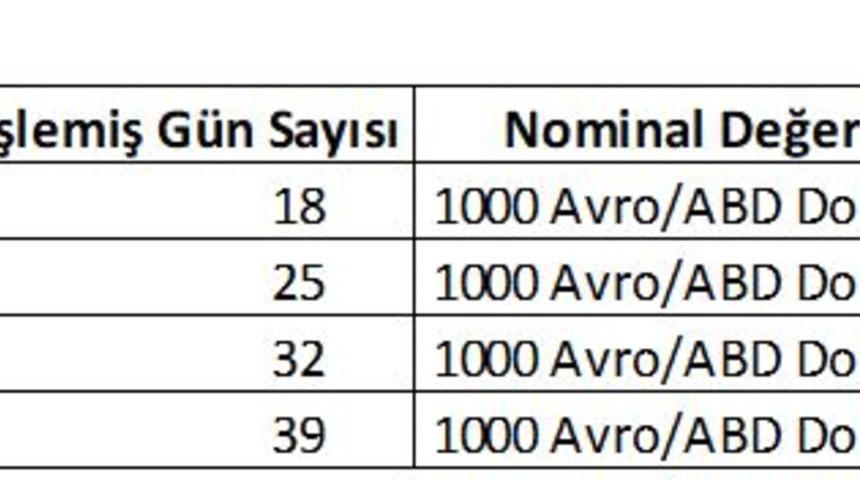 Euro ve dolar cinsinden devlet tahvili ihraçları devam edecek