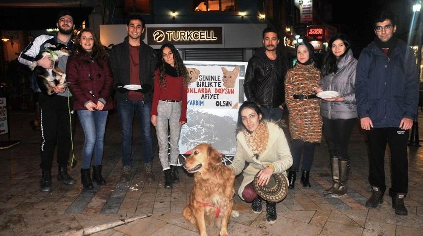 Pilav satıp hasta hayvanları tedavi ettiriyorlar