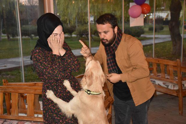 Kafe sahibi köpeği 'Bobo'yu kadına şiddet gösterenlere karşı eğitti