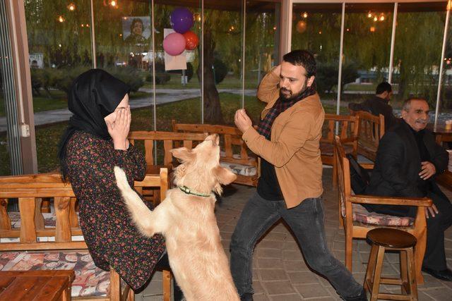 Kafe sahibi köpeği 'Bobo'yu kadına şiddet gösterenlere karşı eğitti