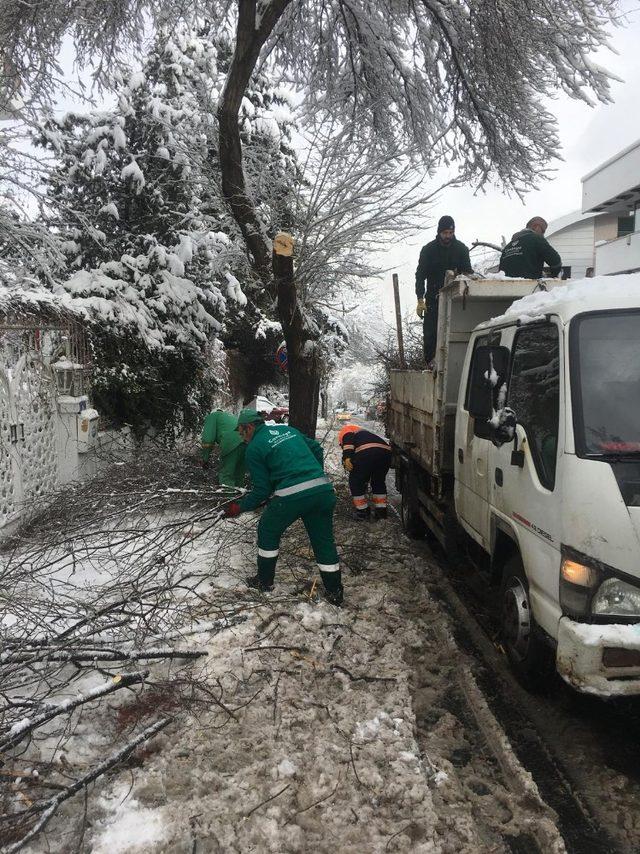 Çankaya karla mücadelede sınıfı geçti