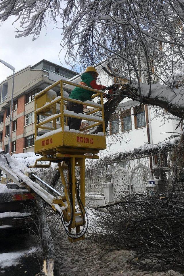 Çankaya karla mücadelede sınıfı geçti