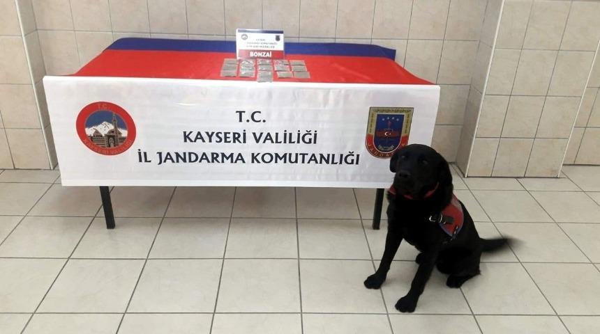 Jandarmadan uyuşturucu operasyonu