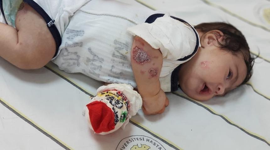 Yeni doğan kelebek &ccedil;ocuklara yardım