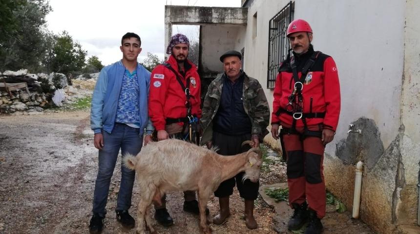 Kayıp ke&ccedil;i AKUT ekiplerince bulundu