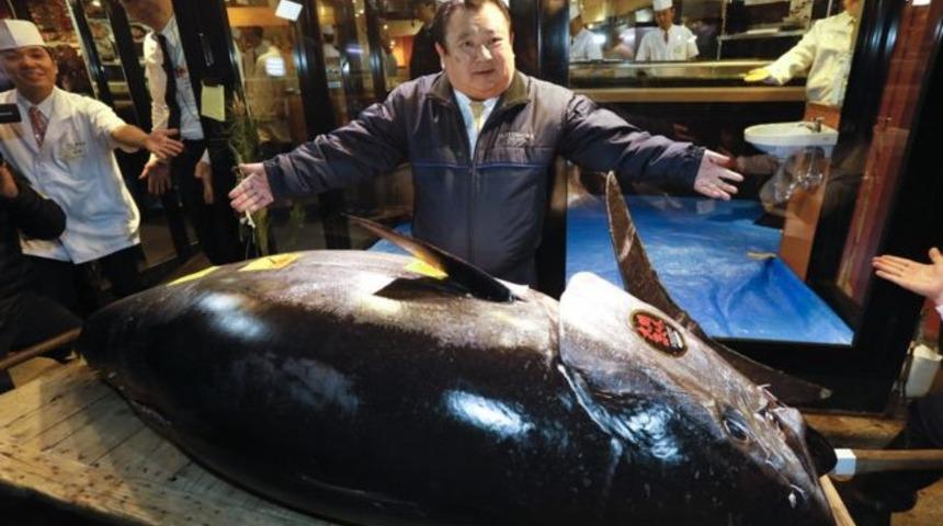Japonya'da 278 kiloluk dev ton balığı 3 milyon dolara satıldı