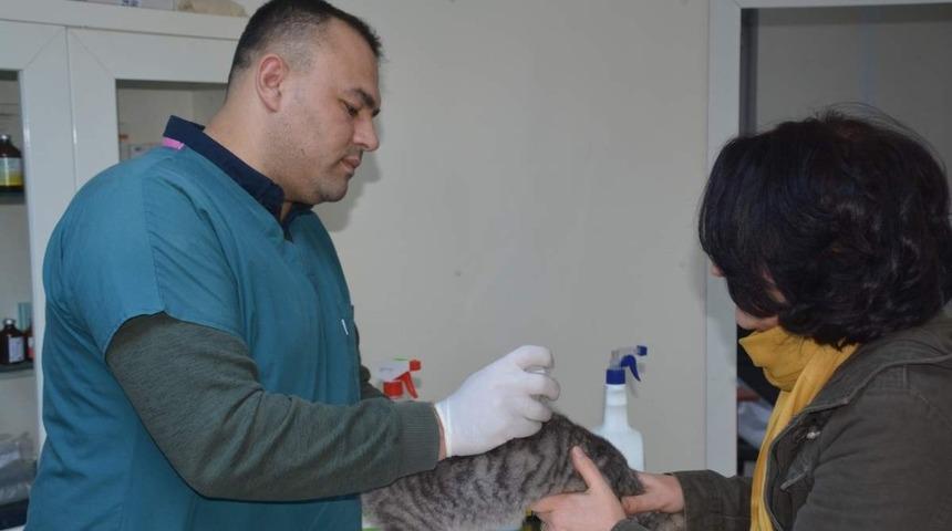 Aliağa&rsquo;da bir yılda 2 bin 120 sokak hayvanı tedavi edildi