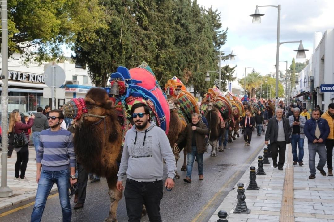 Bodrum Deve G&uuml;reşi Festivali kortej y&uuml;r&uuml;y&uuml;ş&uuml; ile başladı