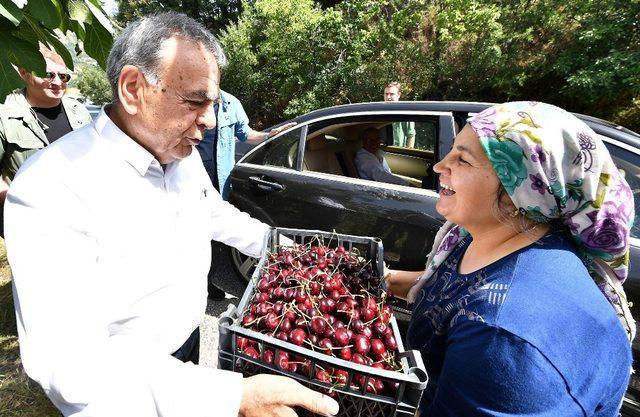 İzmirli üreticinin yüzü gülüyor