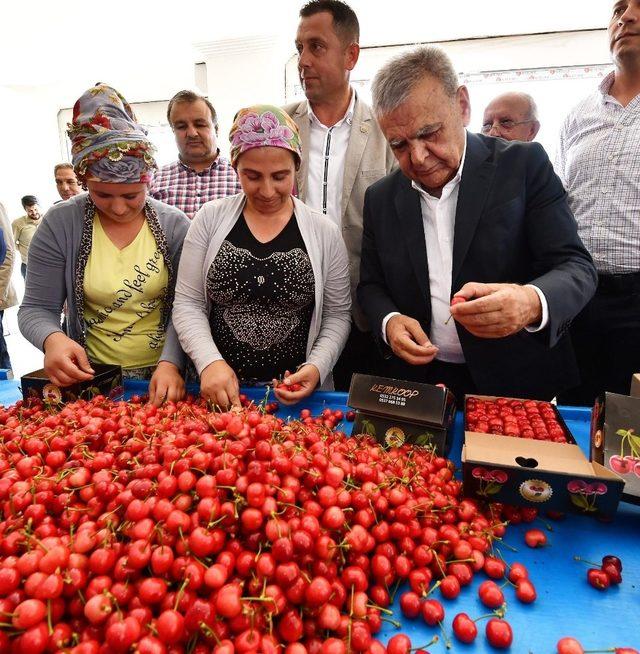 İzmirli üreticinin yüzü gülüyor