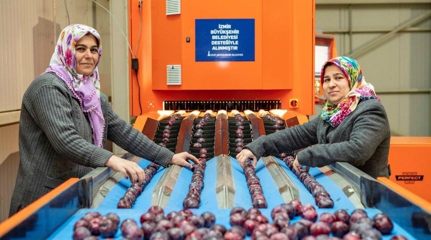 İzmirli üreticinin yüzü gülüyor