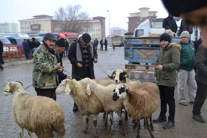 Şuhut’ta küçükbaş hayvanlar elde kaldı G2