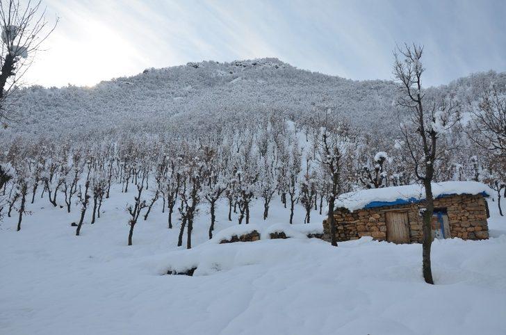 Beytüşşebap’ta karla mücadele çalışmaları sürüyor G2