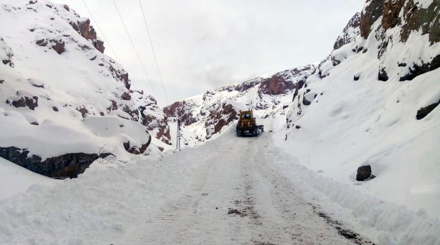 Van’da 264 yerleşim yerinin yolu kapandı