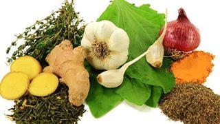 Doğal antibiyotikler nelerdir? Doğal antibiyotik besinler hangileri?