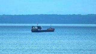 Rus gemi kaptanı kamarasında ölü bulundu! 