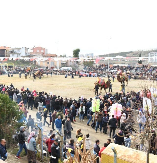 Çiğli’de Deve Güreşleri Festivali’ne yoğun ilgi