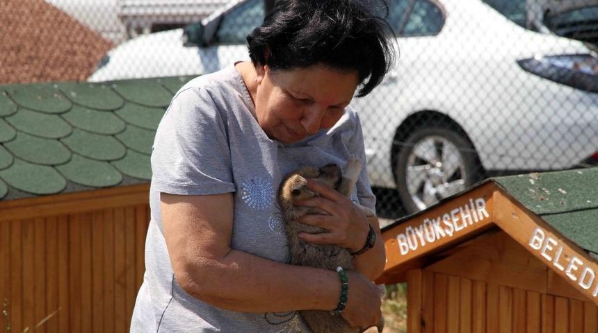Kocaeli&rsquo;nde sokak hayvanları sahipsiz kalmıyor