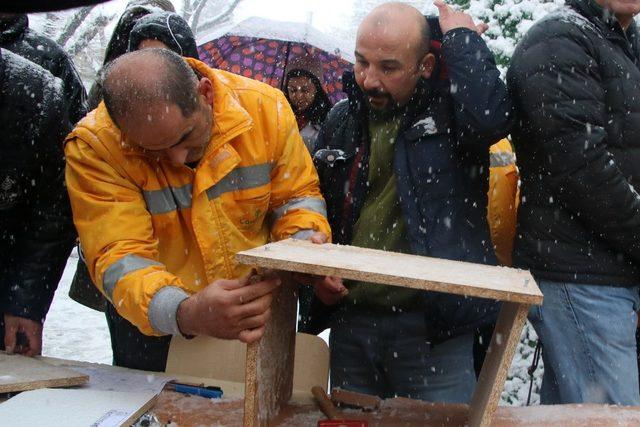 Çankaya Belediyesinden ’6.Sokağın Kedisi Şenliği’