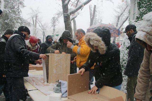 Çankaya Belediyesinden ’6.Sokağın Kedisi Şenliği’