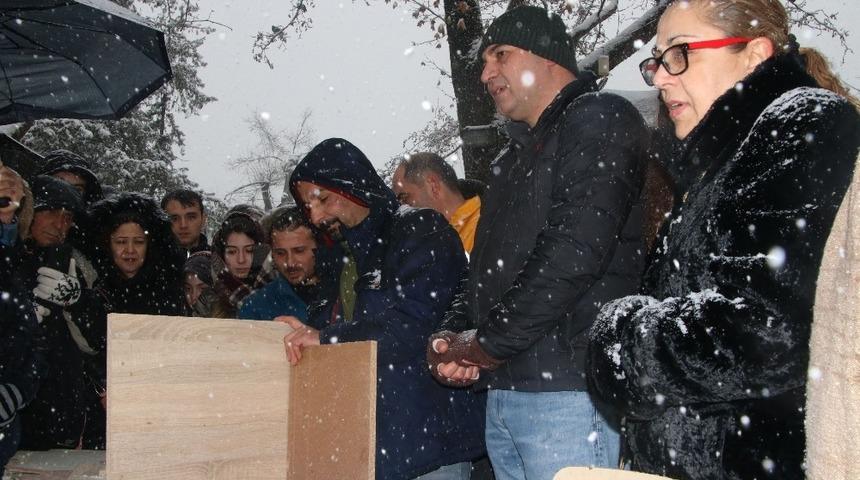 &Ccedil;ankaya Belediyesinden &rsquo;6.Sokağın Kedisi Şenliği&rsquo;