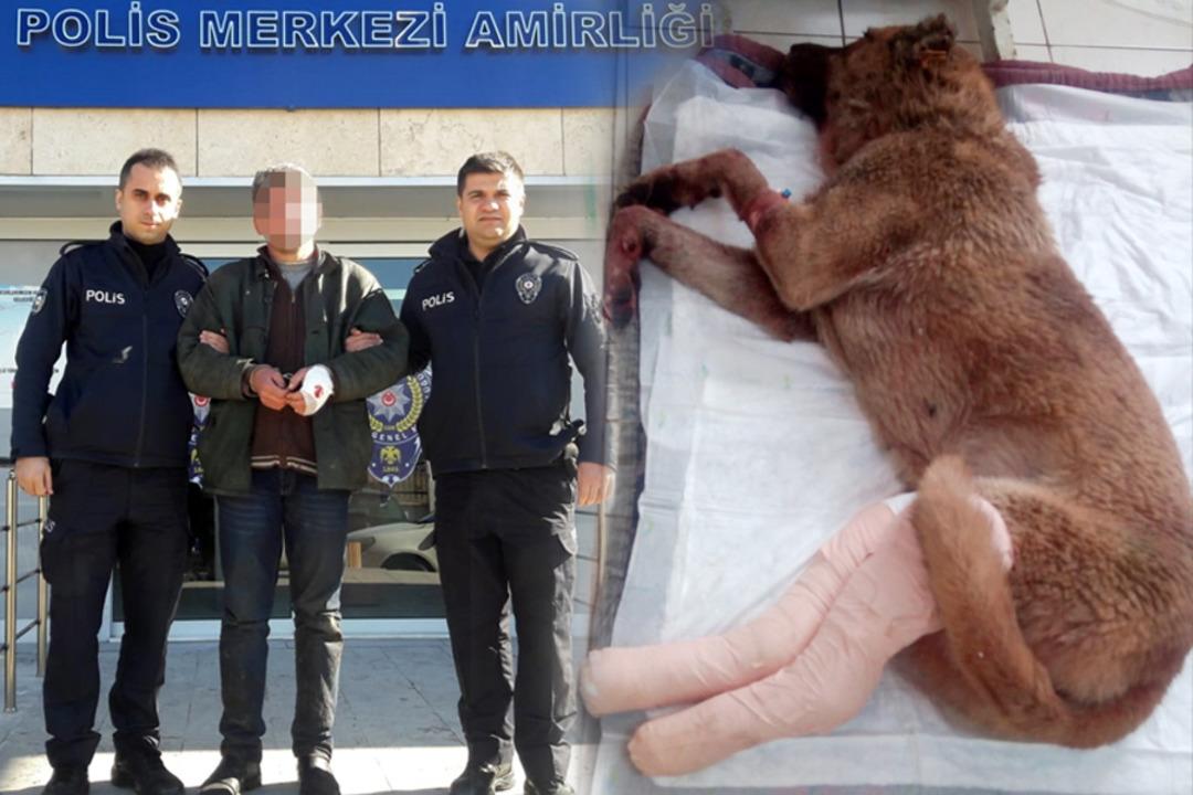 Kan donduran iddia: Tecav&uuml;z etti, bacaklarını kırıp k&ouml;peğe ısırttı!