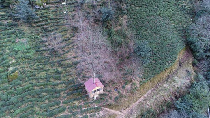 Onu görmek için kilometrelerce yol katediyorlar! G1