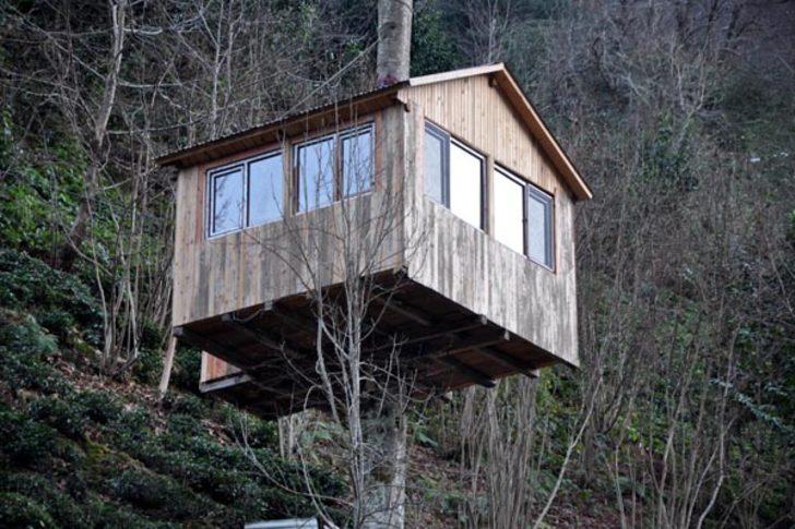 Onu görmek için kilometrelerce yol katediyorlar! G3