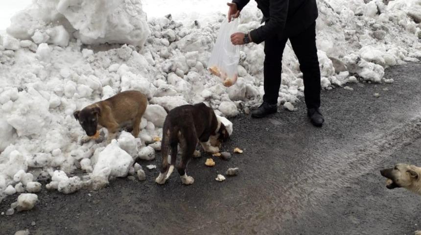 Duyarlı vatandaşlardan &ouml;rnek davranış