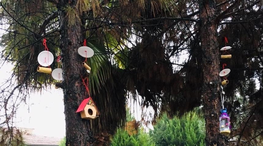 Kuşlar i&ccedil;in ev yapıldı