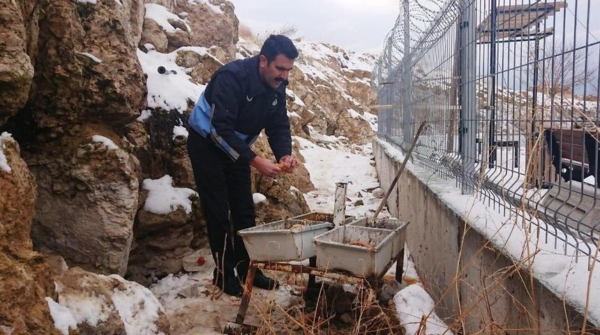 Edremit Belediyesinden yemleme &ccedil;alışması