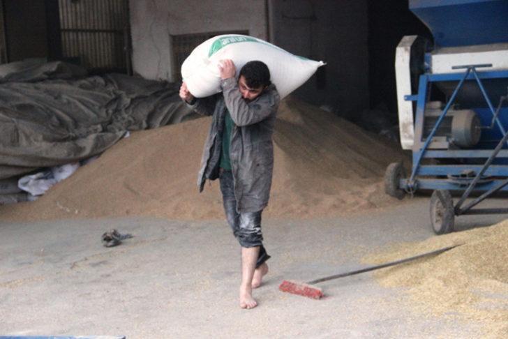 Hamalı elektrik çarptı, matematik dahisi oldu! G4