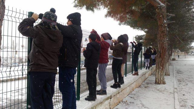 Kuşlar karda beslenebilsin, diye yemlik yaptılar