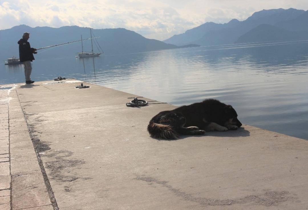 Plajlar onlara kaldı