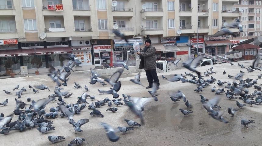 G&uuml;vercinler renkli g&ouml;r&uuml;nt&uuml;ler oluşturuyor