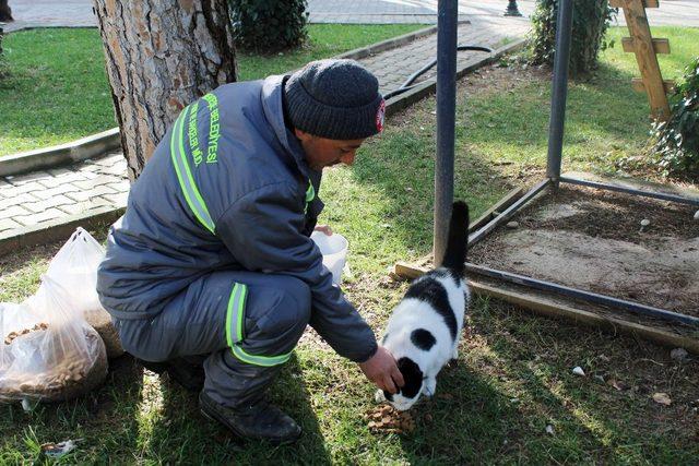 Menteşe’de can dostlar güvende