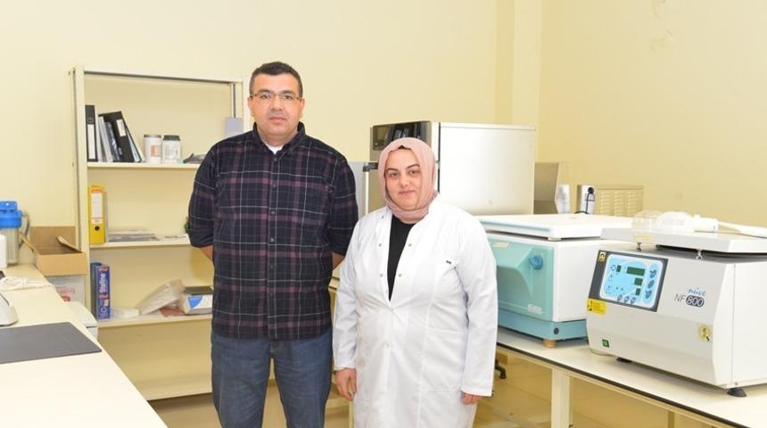 KAE&Uuml;&rsquo;si projesi ile &rsquo;Arı &Ouml;l&uuml;mleri&rsquo; azalacak