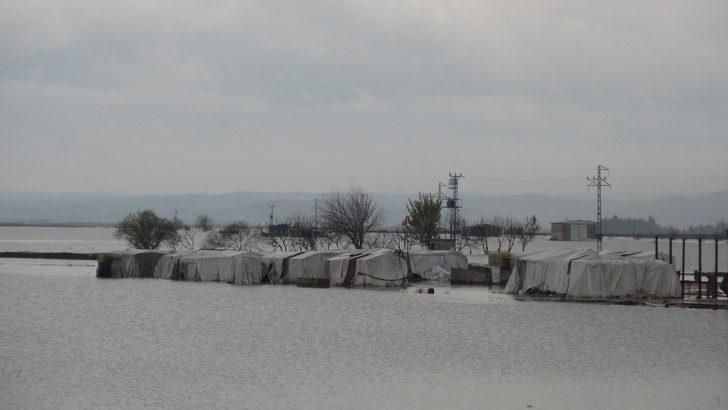 Hatay Haberleri: Amik Ovası sular altında Hatay Haberleri: Amik Ovası sular altında