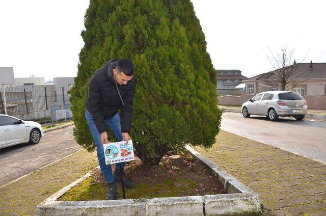 Alaplı’da can dostlar için 