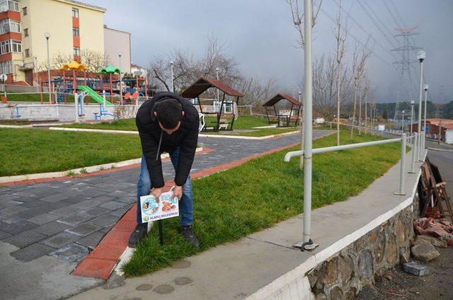 Alaplı’da can dostlar için 