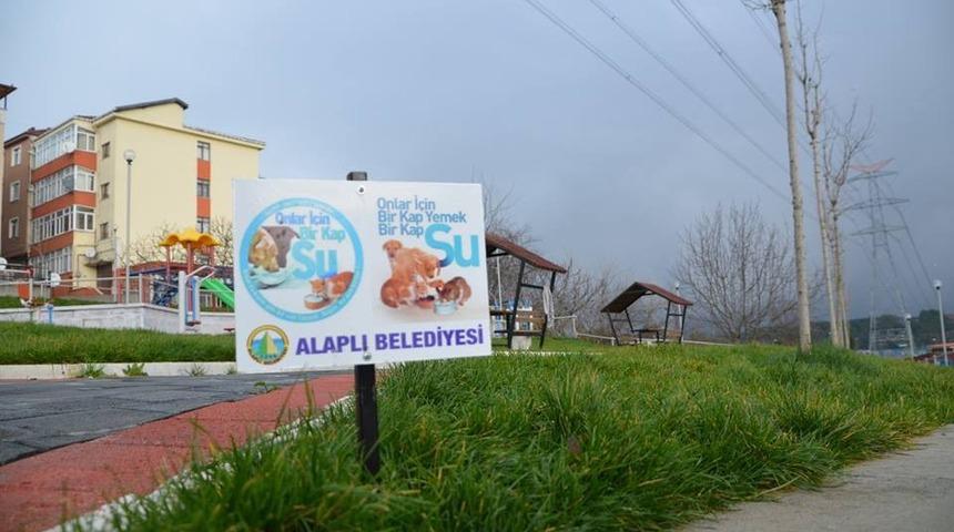 Alaplı&rsquo;da can dostlar i&ccedil;in "Bir kap yemek, bir kap su" projesi