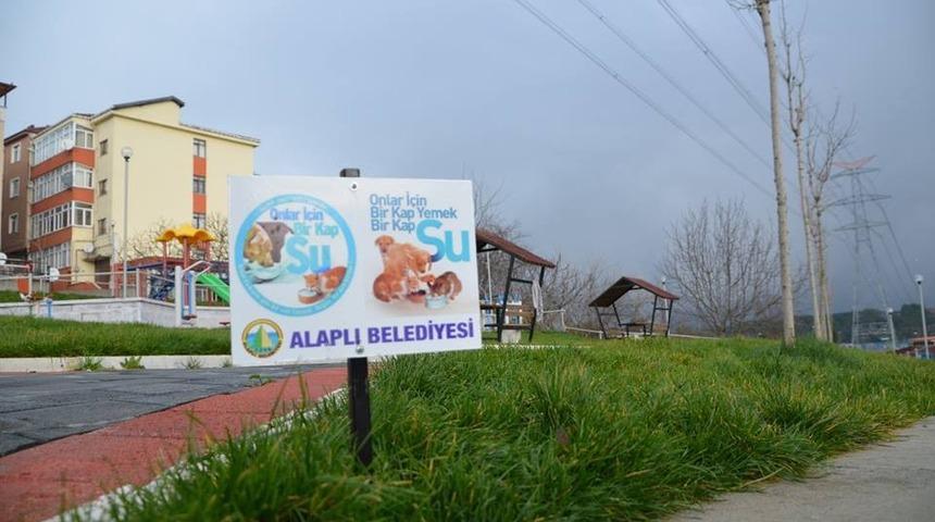 Alaplı&rsquo;da can dostlar i&ccedil;in "Bir kap yemek, bir kap su" projesi