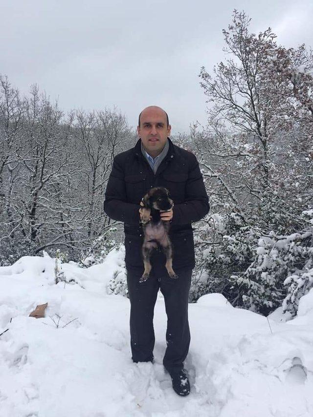 Kaymakam, köpek yavrularını karda donmaktan kurtardı