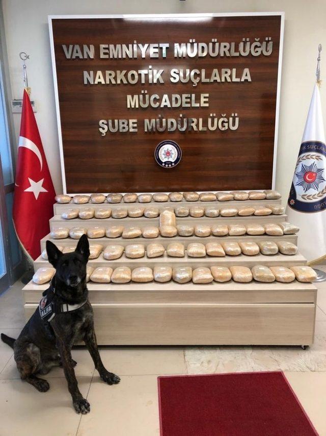 Van’da bir minibüste 73 kilo toz esrar ele geçirildi