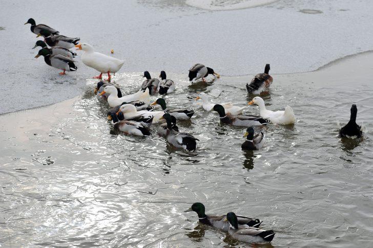 Başkent beyaza büründü! Hayran kalacaksınız G2