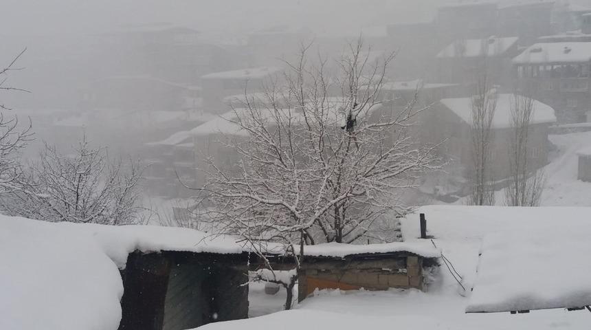 Hakkari’de 183 yerleşim yerinin yolu kapandı